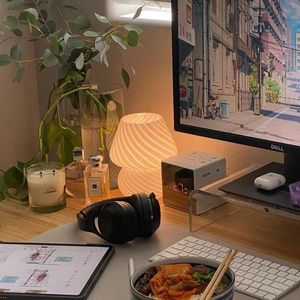 Translucent Mushroom Lamp